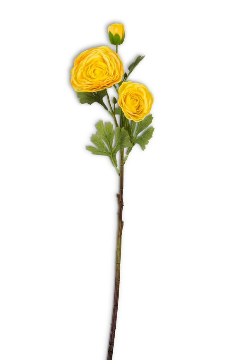 25 Inch Yellow Real Touch Triple Bloom Ranunculus Stem