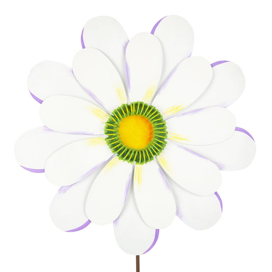 Giant Daisy