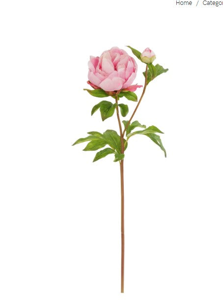 Pink Peony Bud 23"