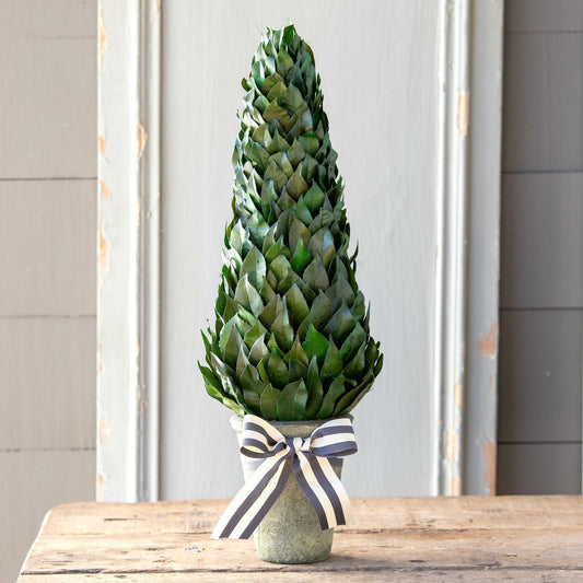 Lemon Leaf Cone Topiary, 23"