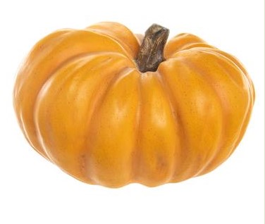Pumpkin Orange 3