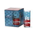 Patriotic Drinks Glass set of 4 - Multi