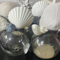 One of a Kind Sealife Float