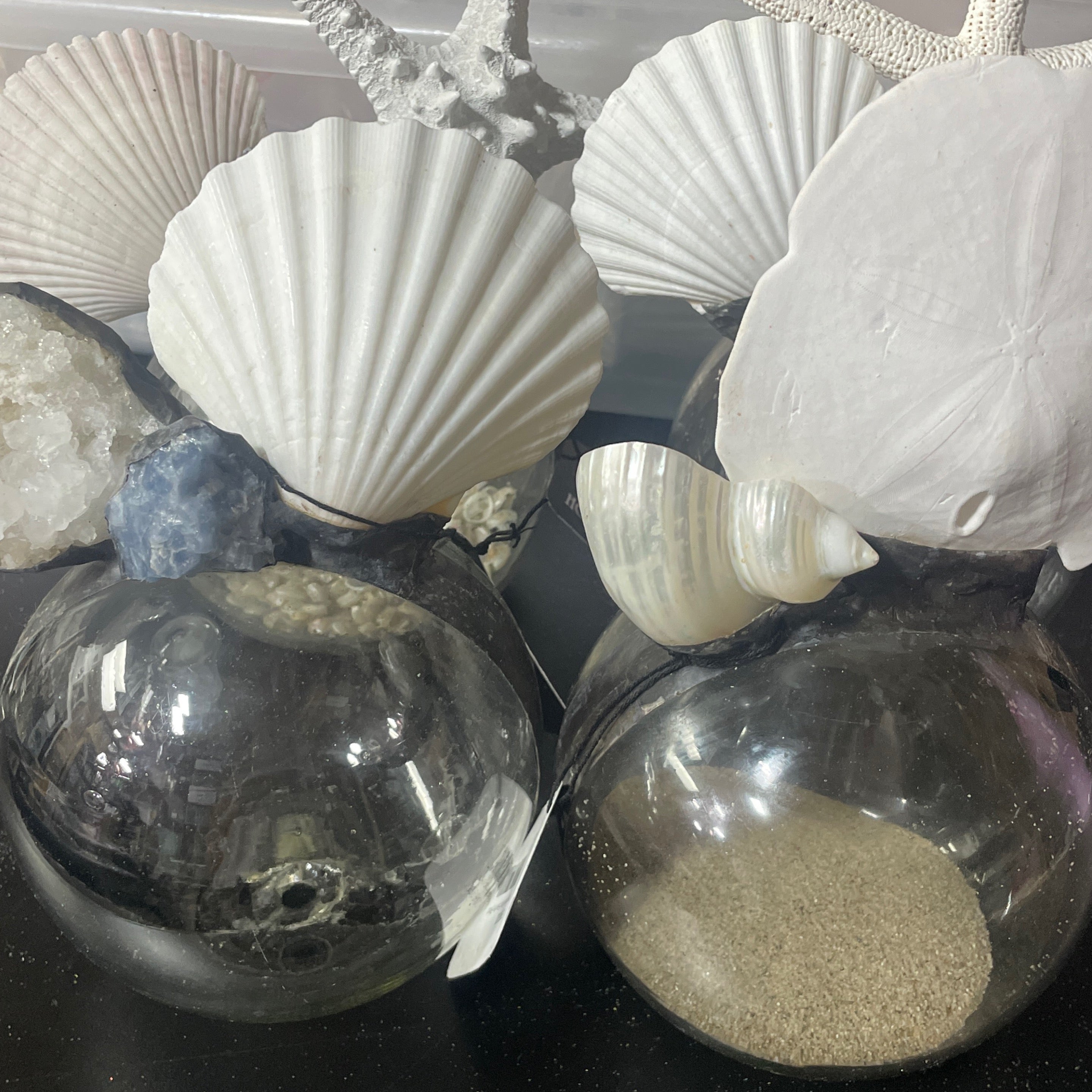One of a Kind Sealife Float