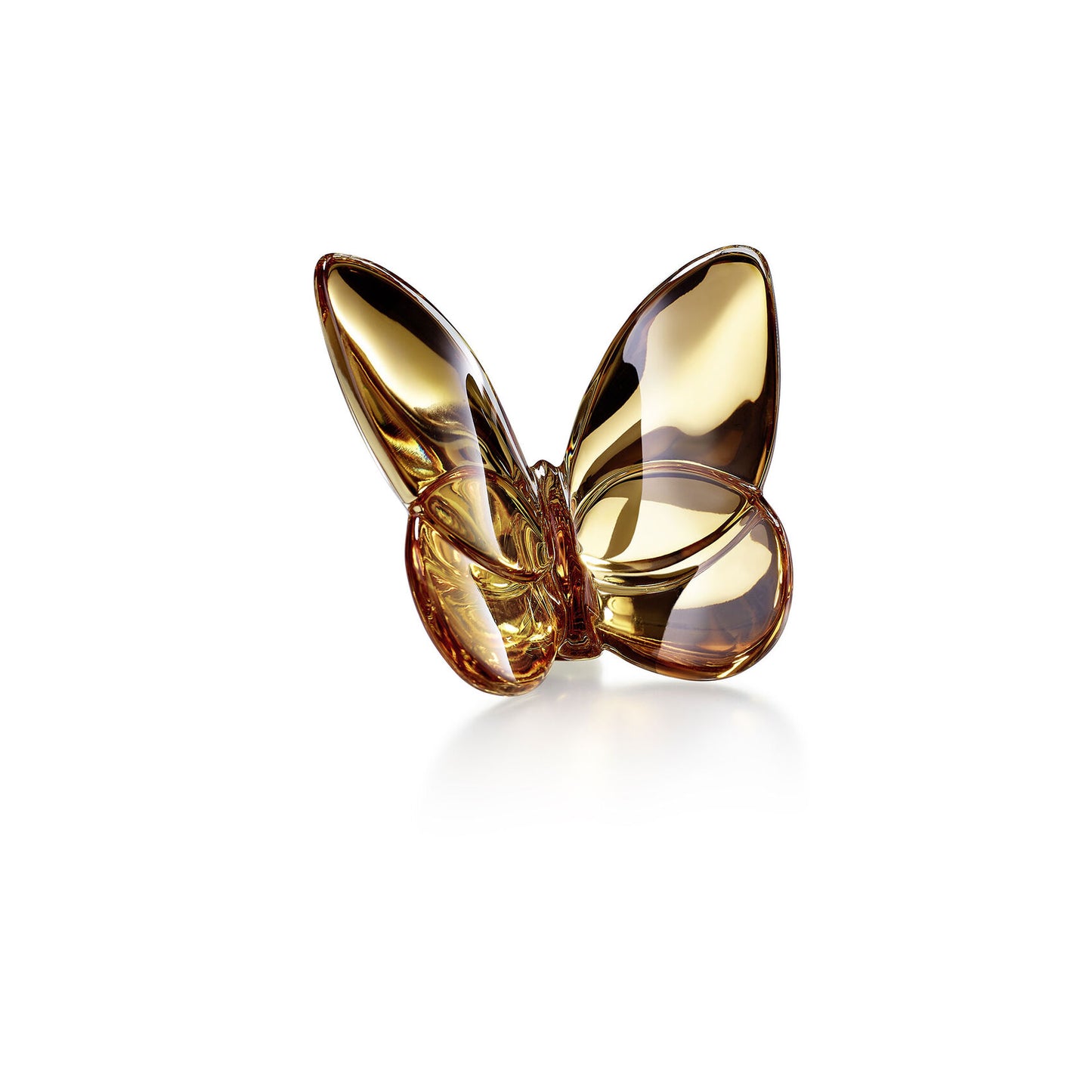 Papillon Lucky Butterfly, Gold