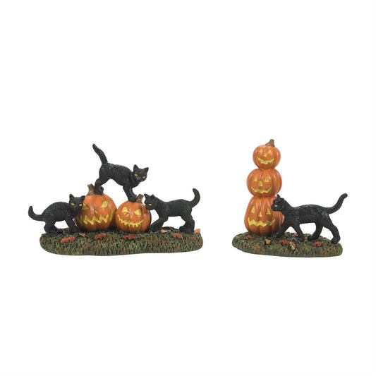 Scary Cats Pumpkins ST/2