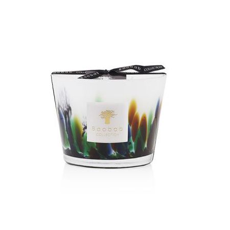 Max 10 Rainforest Amazonia