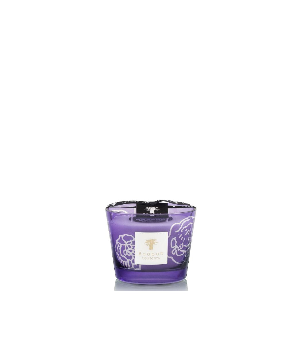 Max 10 Candle Roses Dark Parma