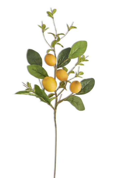 Lemon and Foliage Stem 28 Inch