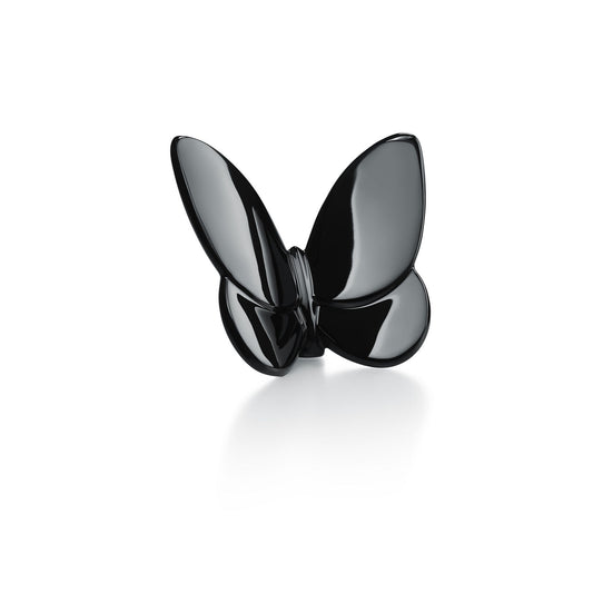 Papillon Lucky Butterfly, Black