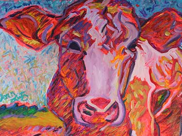 Red Faced Bull