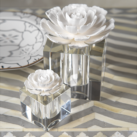 Moroccan Peony Modena Large Diffuser Gift Set