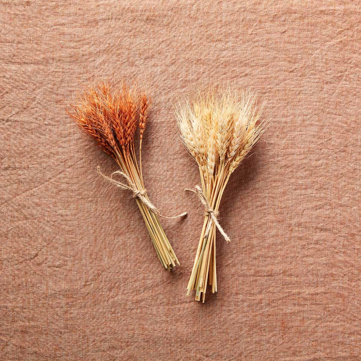 Small Rust Wheat Bundle