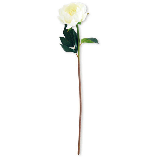 White Real Touch Peony Stem 20 Inch