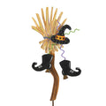 Witch Broom