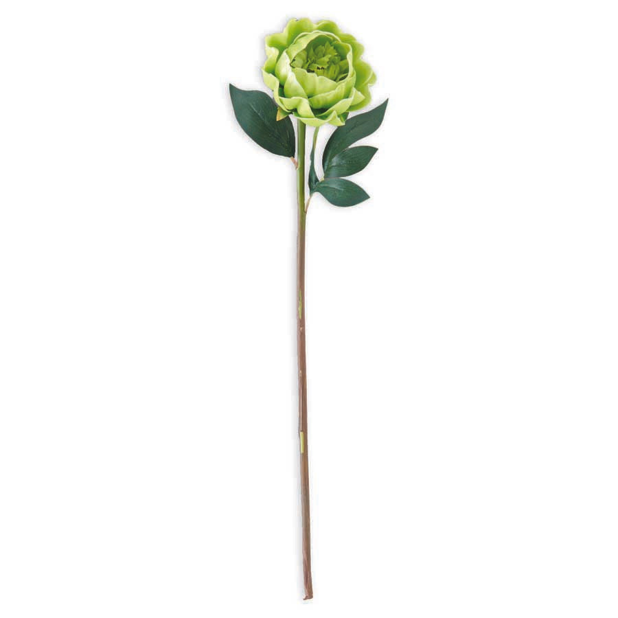 Green Real Touch Peony 20 Inch