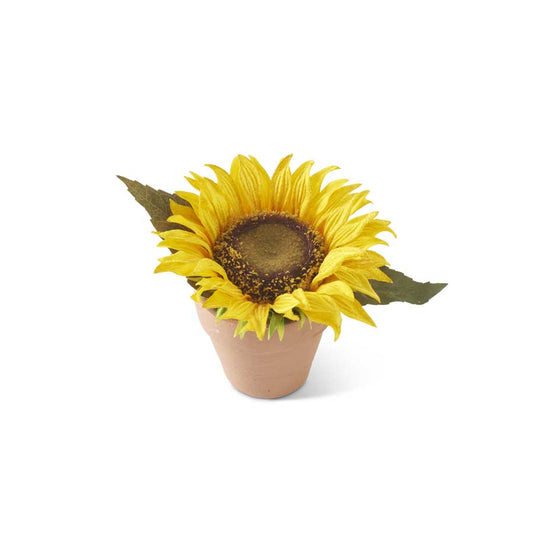 4.5 Inch Potted Yellow Sunflower