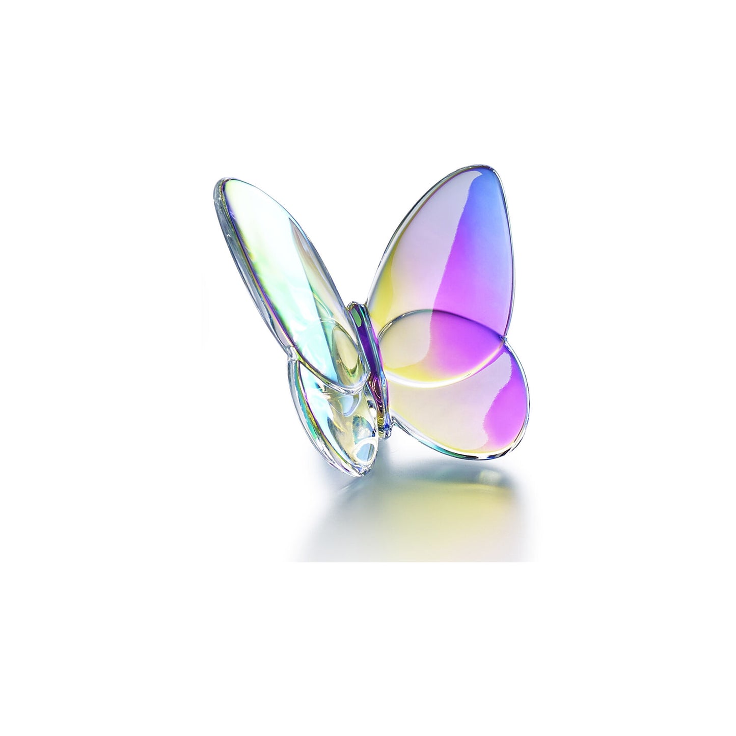 Papillon Lucky Butterfly, Iridescent