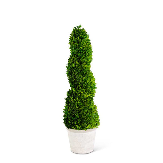 32 Inch Preserved Boxwood Spiral Topiary in Whitewashed Pot