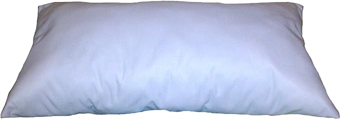 20x15 Down Pillow Fill