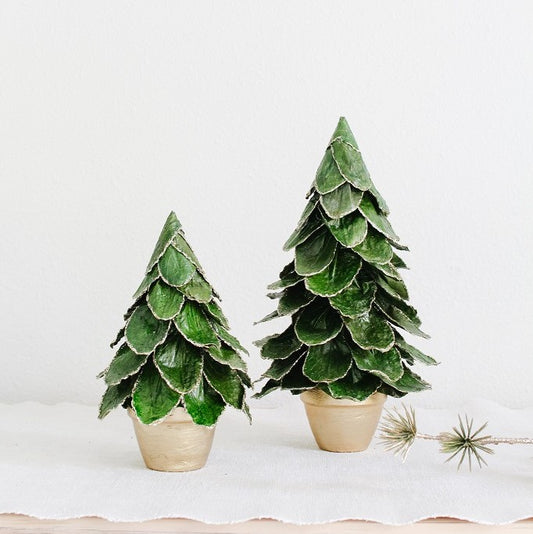 Potted Butterfly Leaf Cone Tree 10"