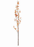 Coral Quince Blossom Branches Bundle of 2