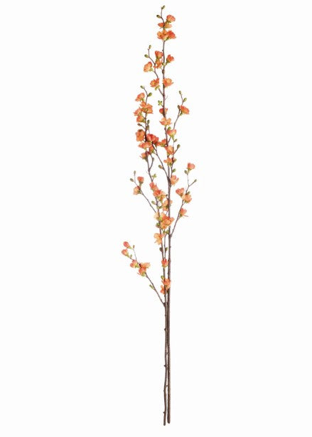 Coral Quince Blossom Branches Bundle of 2