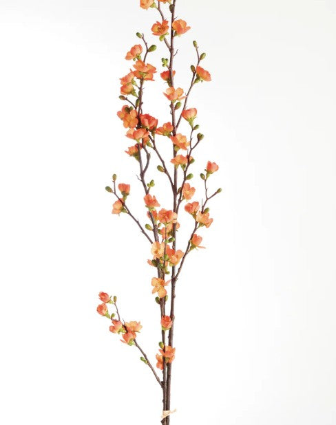 Coral Quince Blossom Branches Bundle of 2