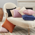 Rust Pinsonic Velvet Pillow