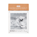 Acrylic Paw Print Frame